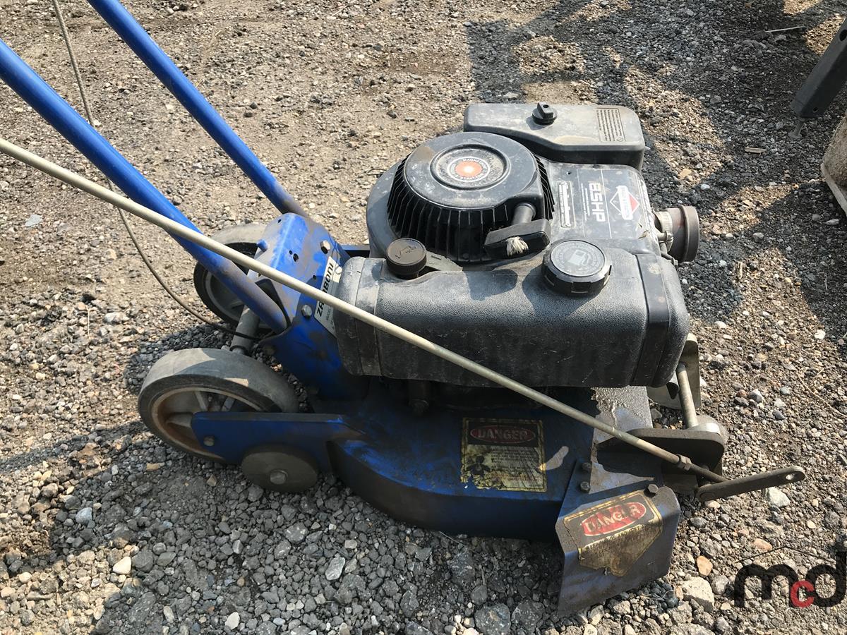 Zamboni 8.5 HP Edger